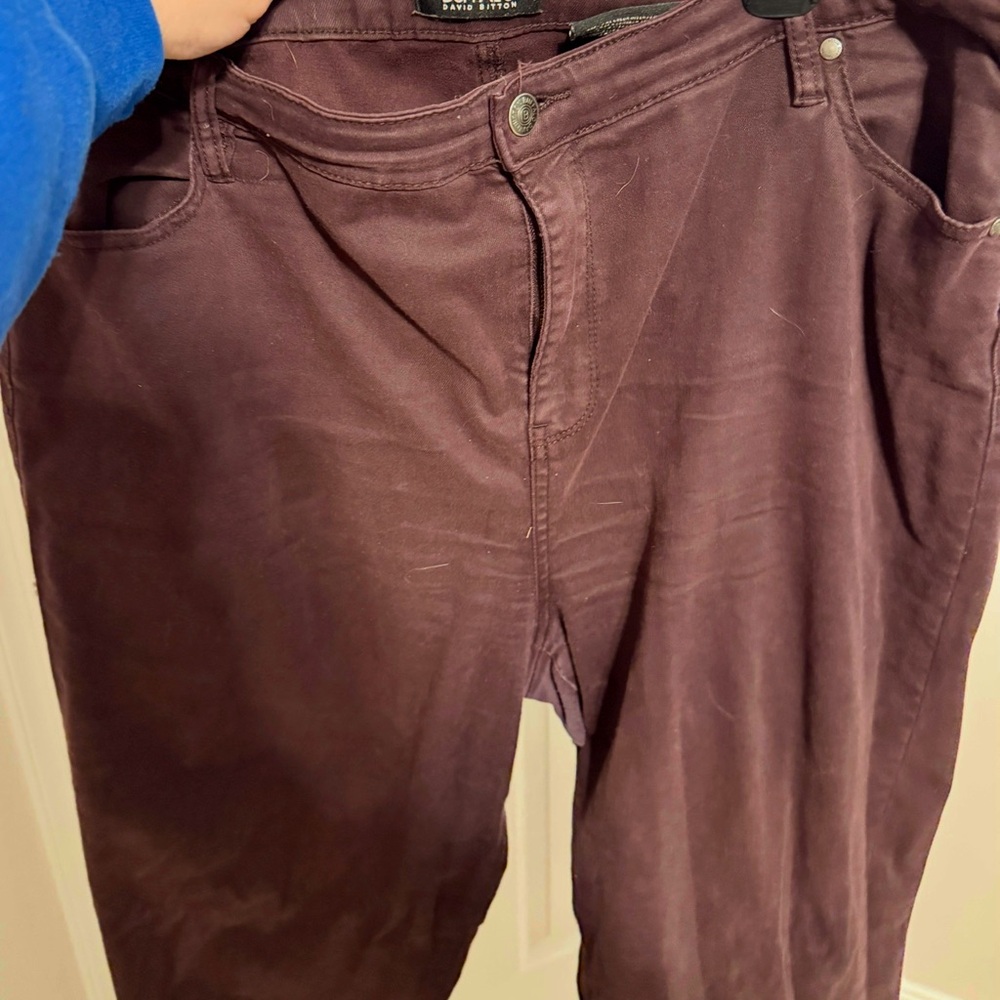 Purple Jeans